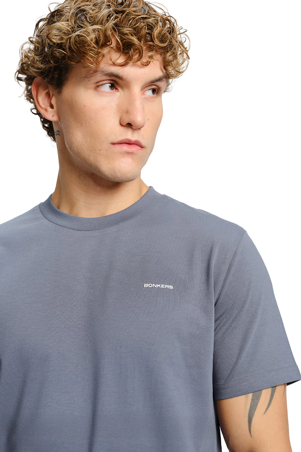 Glacier Grey Supima Regular Fit T-shirt - Image 6